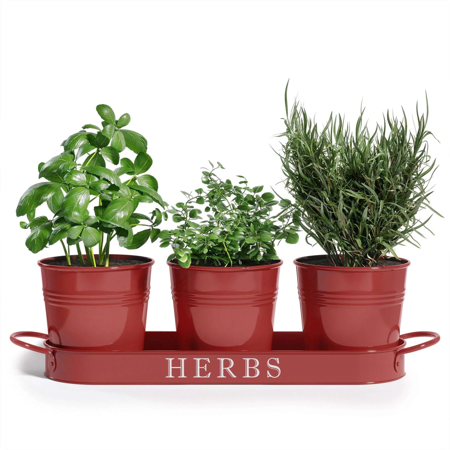 Decorative Indoor Herb Planter with Tray – Vintage Farmhouse Style