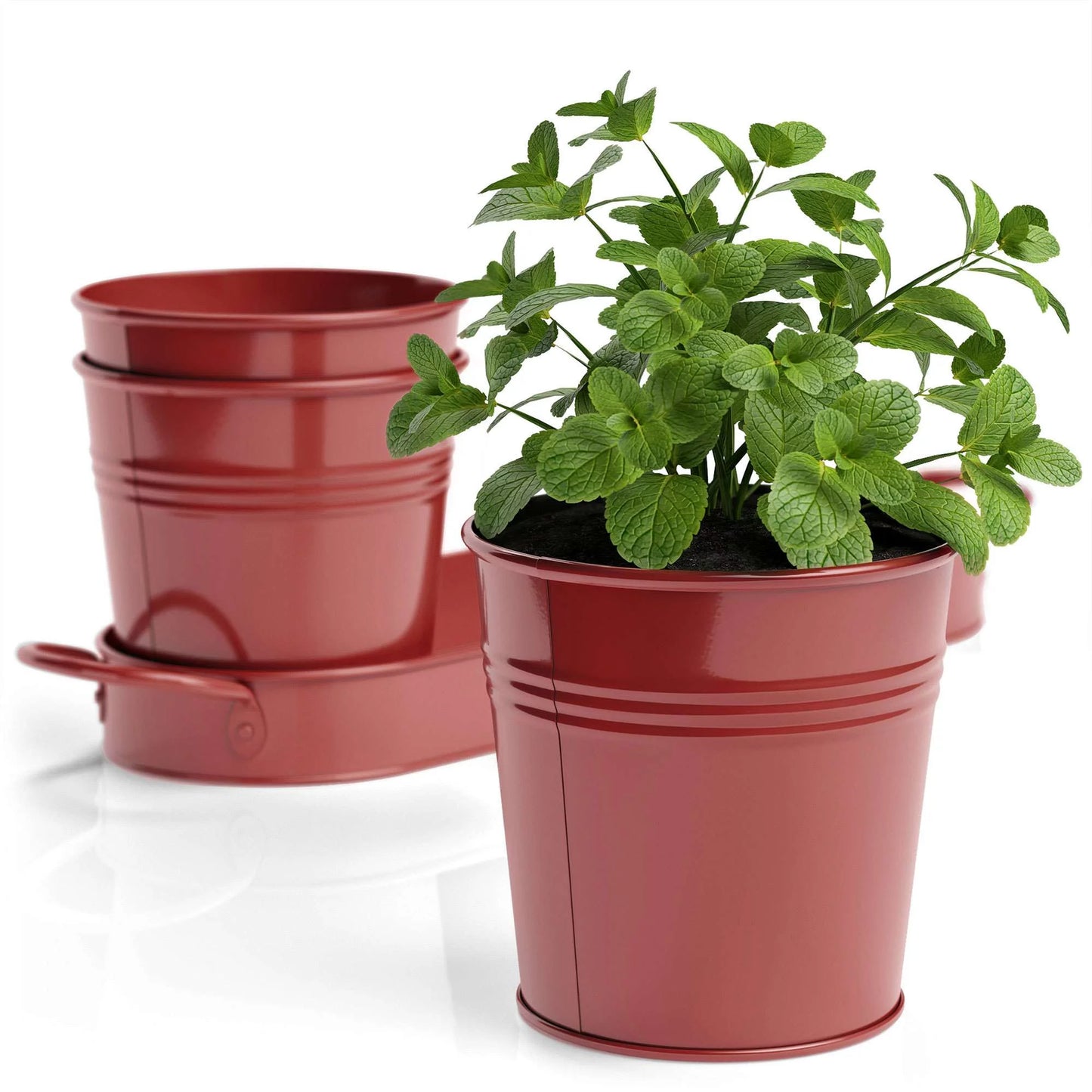 Decorative Indoor Herb Planter with Tray – Vintage Farmhouse Style