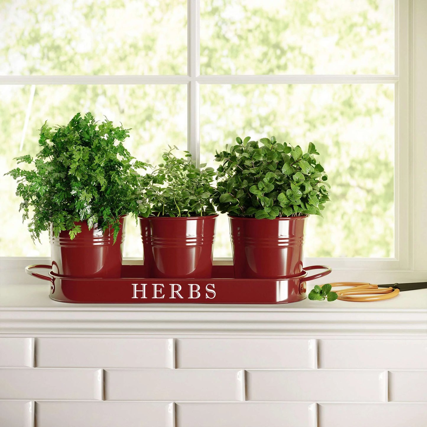 Decorative Indoor Herb Planter with Tray – Vintage Farmhouse Style