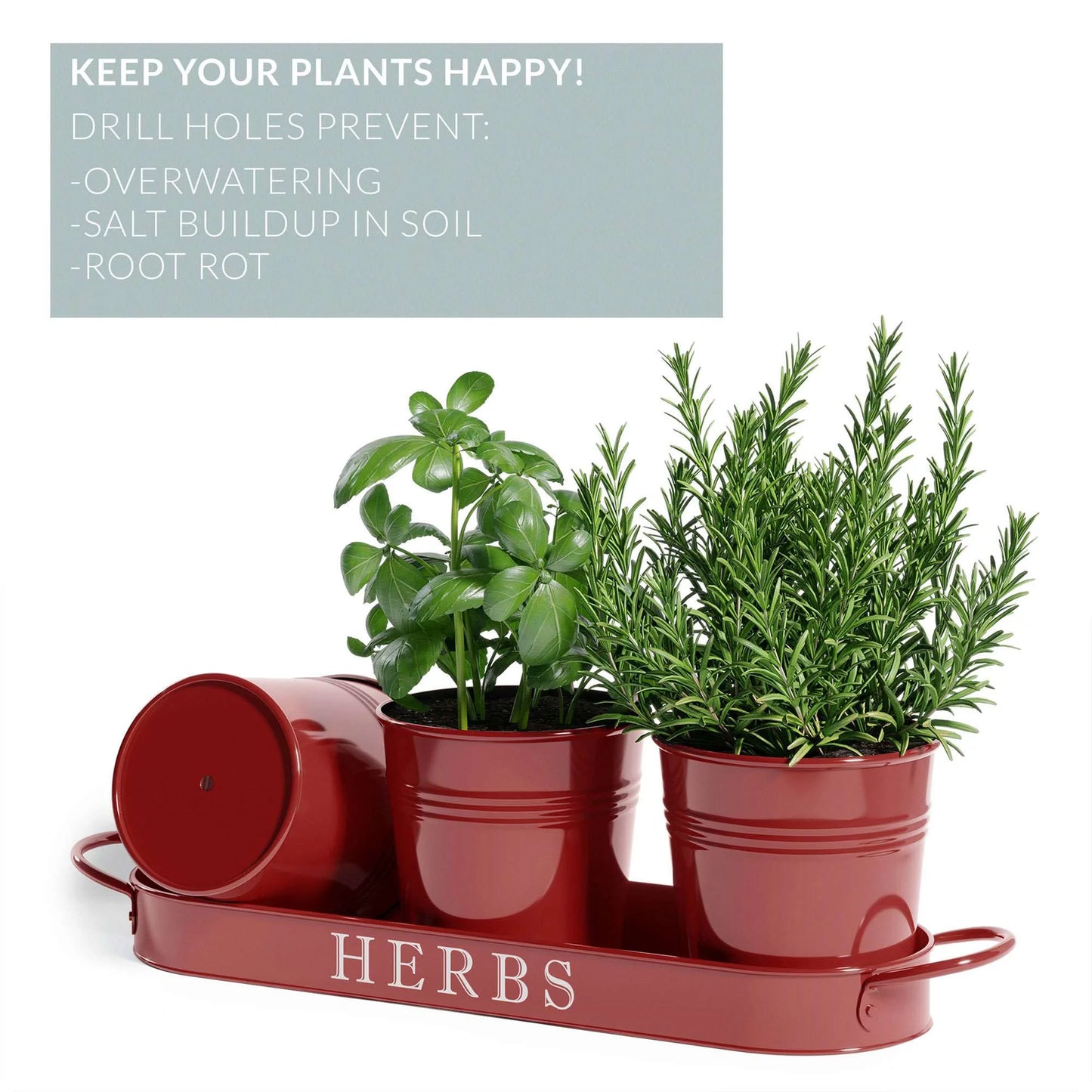 Decorative Indoor Herb Planter with Tray – Vintage Farmhouse Style