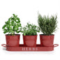 Decorative Indoor Herb Planter with Tray – Vintage Farmhouse Style