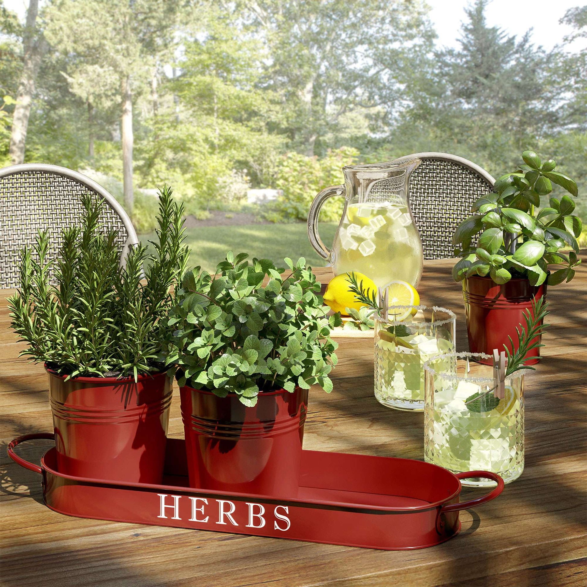 Decorative Indoor Herb Planter with Tray – Vintage Farmhouse Style