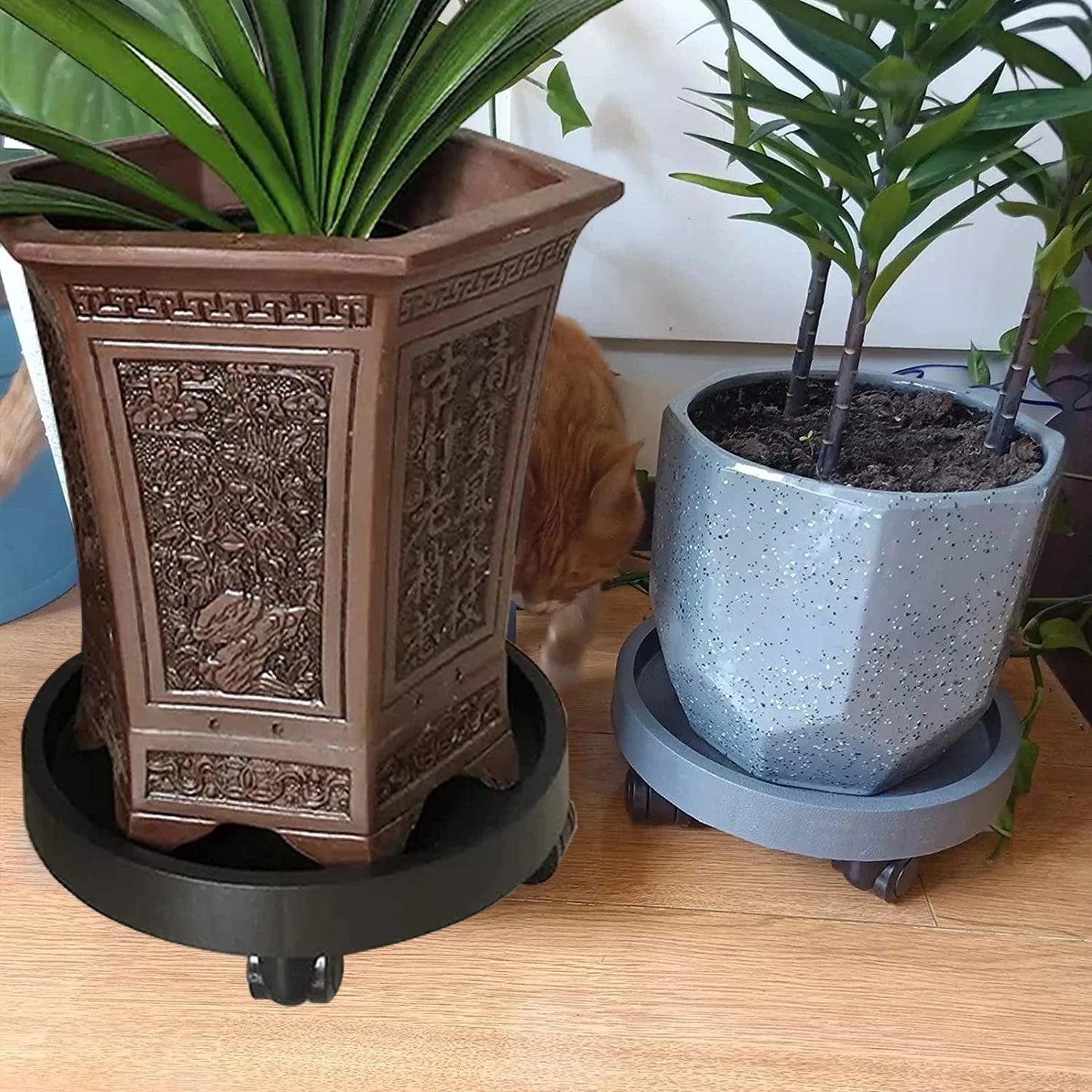 Heavy-Duty Rolling Plant Caddy (Set of 2) – Indoor & Outdoor Use 🌿