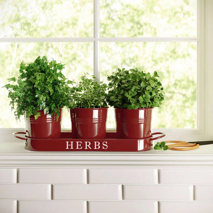 Decorative Indoor Herb Planter with Tray – Vintage Farmhouse Style